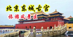 女生和男生射精液的软件中国北京-东城古宫旅游风景区